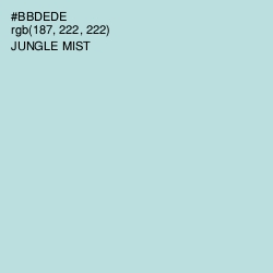 #BBDEDE - Jungle Mist Color Image